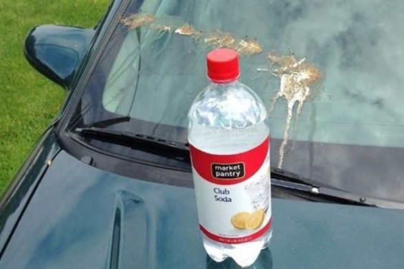 Une bouteille de soda club se trouve sur le capot d'une voiture avec de la merde d'oiseau sur le pare-brise derrière la bouteille