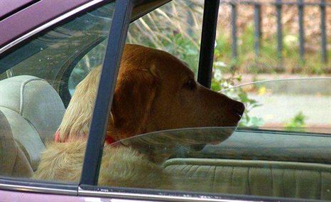 Mantener las ventanillas traseras abiertas durante unos segundos