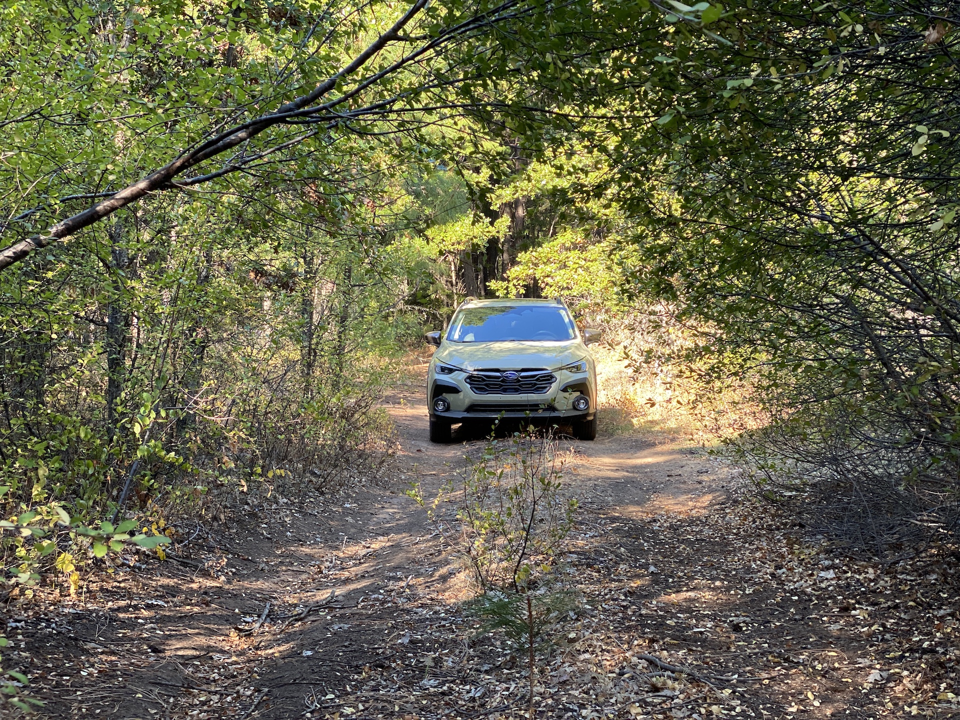 Intérieur Subaru Crosstrek Hybrid 2026