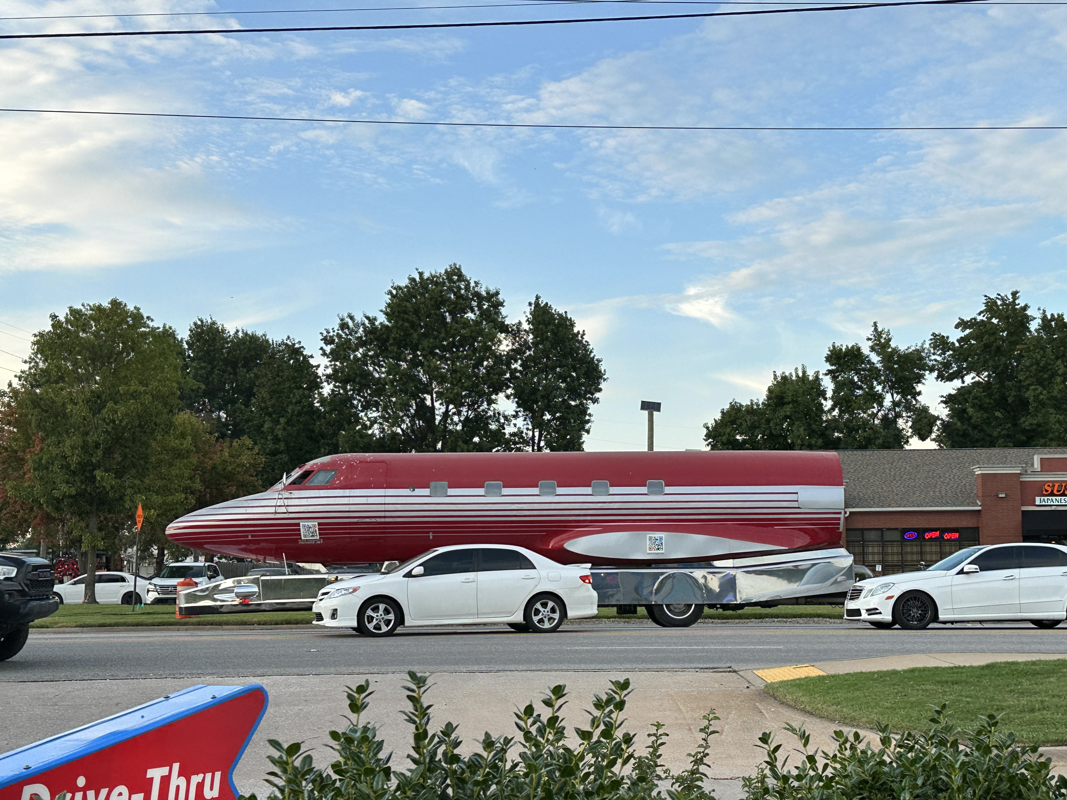 Nahaufnahme von Elvis' Jet